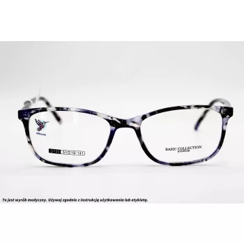 Okulary korekcyjne BASIC COLLECTION G 120 C4